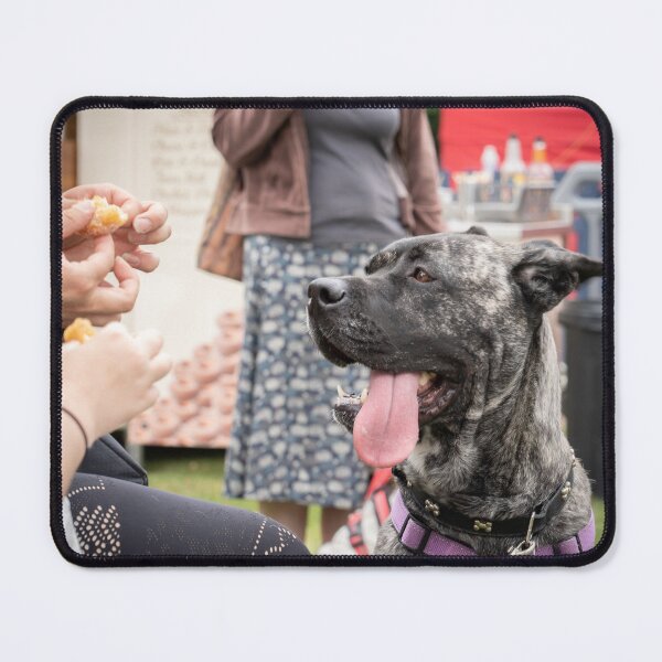 Item preview, Woodside Animal Centre - RSPCA Leicester designed and sold by Woodside-RSPCA.