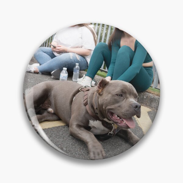 Item preview, Woodside Animal Centre - RSPCA Leicester designed and sold by Woodside-RSPCA.