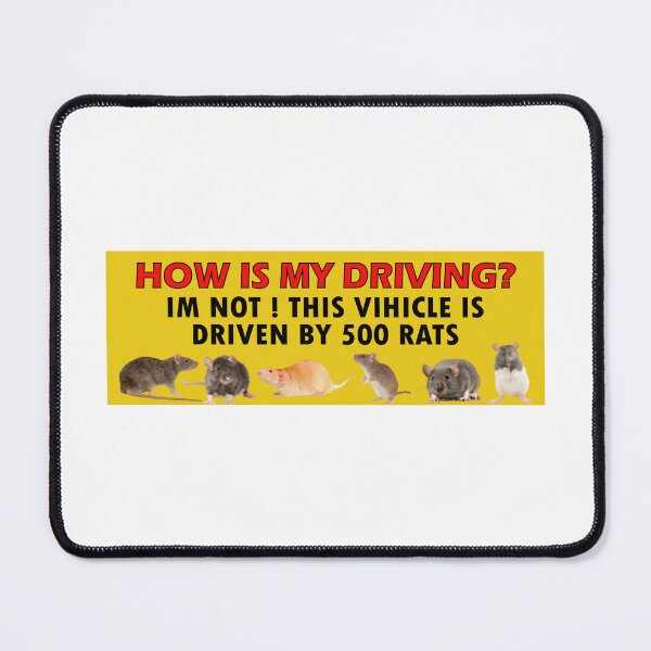 Item preview, How Am I Driving, Funny Car Bumper designed and sold by bumpertrends.