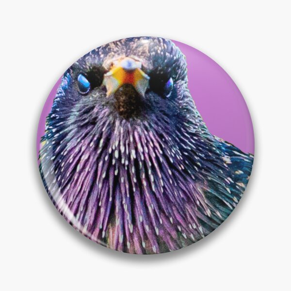 Item preview, Mr Speckles the Starling designed and sold by Dalyndigital Photography.