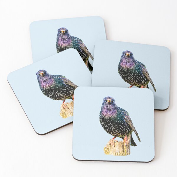 Item preview, Mr Speckles the Starling designed and sold by Dalyndigital Photography.