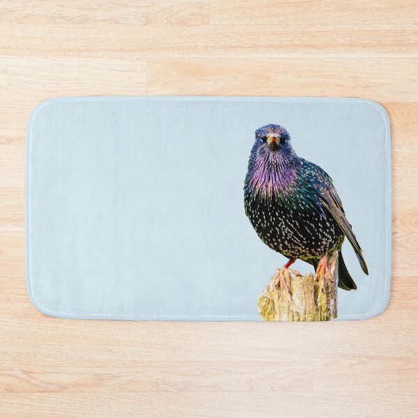 Item preview, Mr Speckles the Starling designed and sold by Dalyndigital Photography.