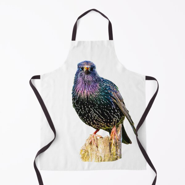 Item preview, Mr Speckles the Starling designed and sold by Dalyndigital Photography.