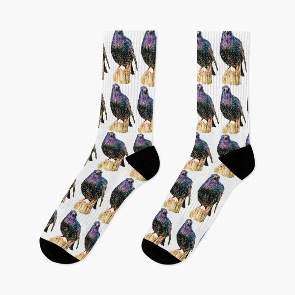 Item preview, Mr Speckles the Starling designed and sold by Dalyndigital Photography.