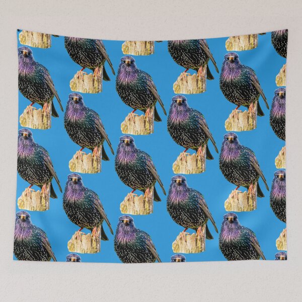 Item preview, Mr Speckles the Starling designed and sold by Dalyndigital Photography.