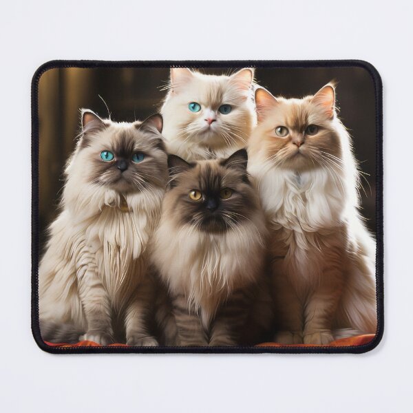 Item preview, Four Long hair cats sitting together. designed and sold by phelanartwork67.
