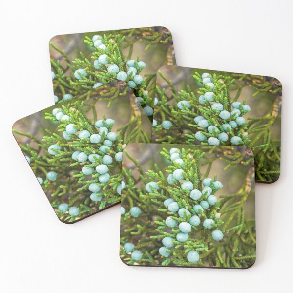 Item preview, Ashe Juniper designed and sold by TinyDinoDesigns.