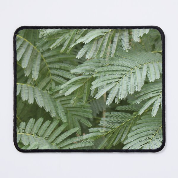 Item preview, Overlap designed and sold by Paul Pasco.