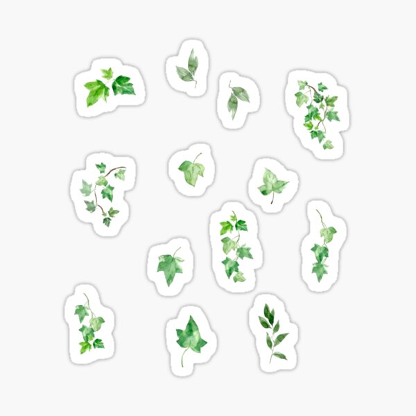 Artikel-Vorschau von Weingut-Paket, designt und verkauft von TinyBubbleTinks.