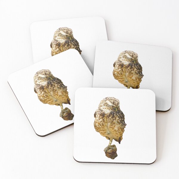 Item preview, Sleepy Little Owl designed and sold by Dalyndigital Photography.