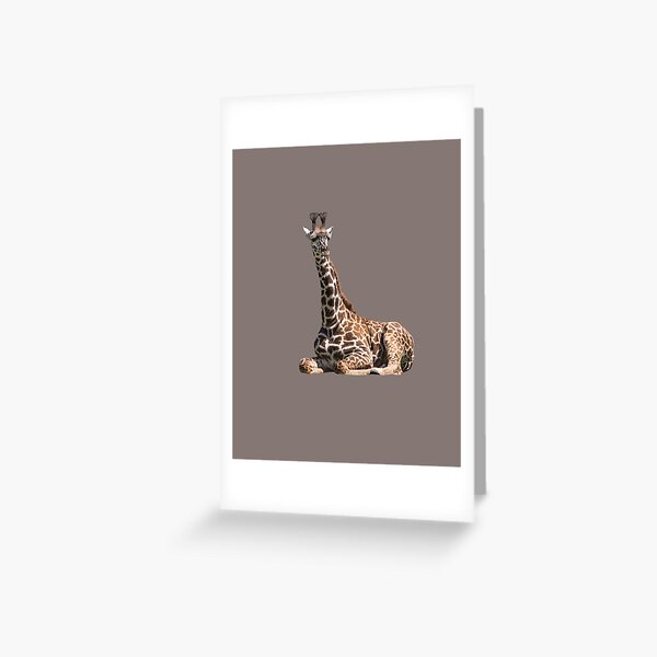 Item preview, Giraffe Relaxing designed and sold by Zina Stromberg.