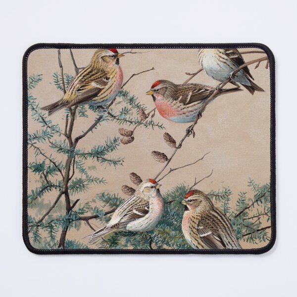Item preview, Vintage Birds in a Pine Tree designed and sold by tomorrowsart.