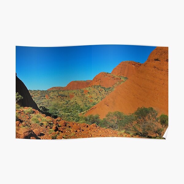 The Valley of the Olgas Poster