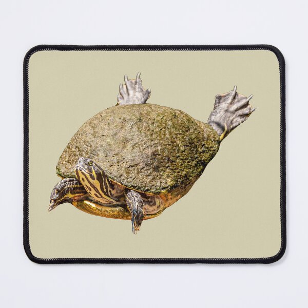 Item preview, I can Fly Terrapin designed and sold by Dalyndigital Photography.
