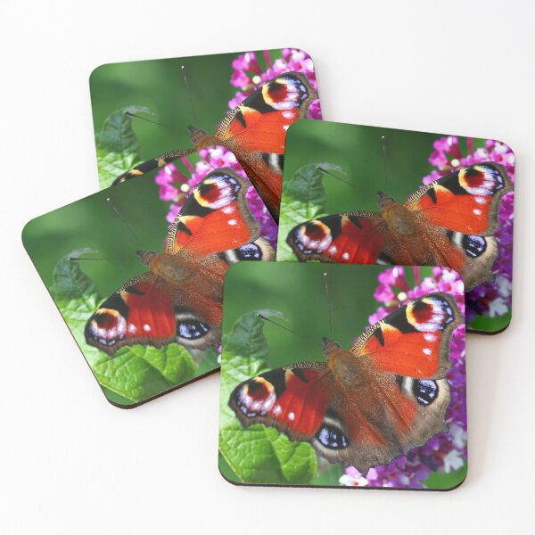 Item preview, Peacock butterfly on buddleia designed and sold by GreyFeatherPhot.