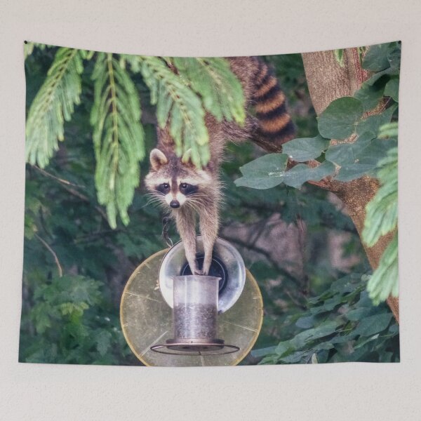 Item preview, Raccoon Raiding the Bird Feeder designed and sold by Frankie Cat Photography.