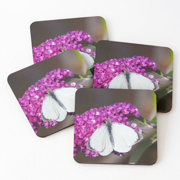 Item preview, Large white butterfly designed and sold by GreyFeatherPhot.