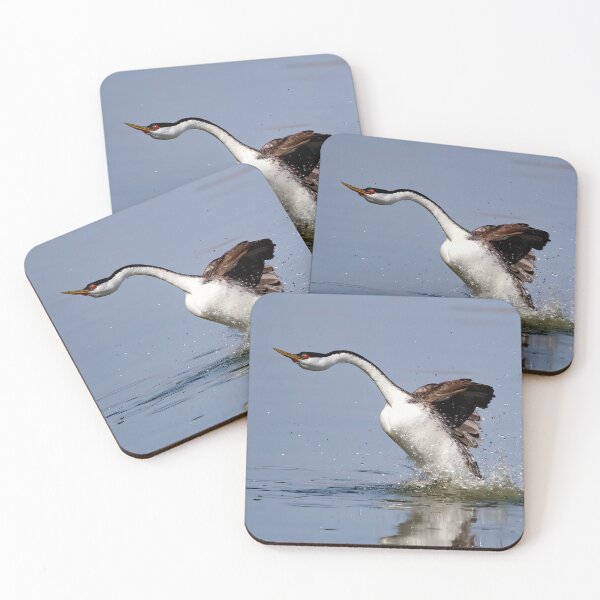 Item preview, Rushing Western Grebe designed and sold by CarolM.