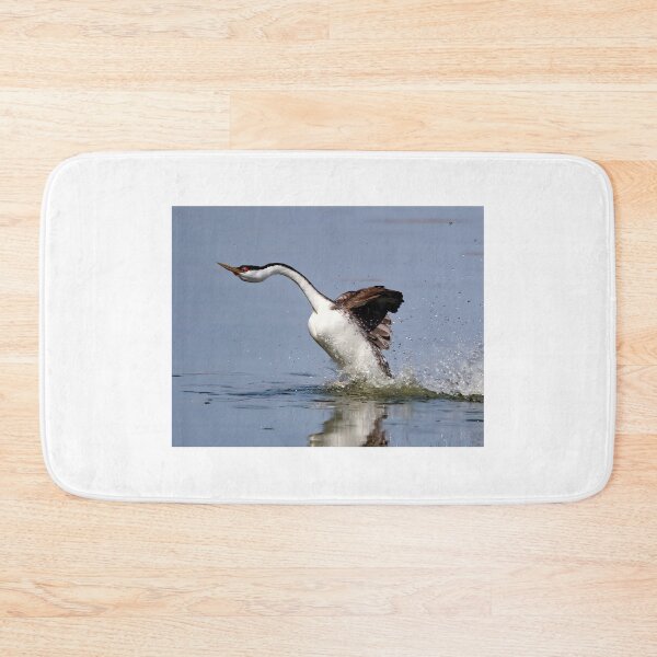 Item preview, Rushing Western Grebe designed and sold by CarolM.