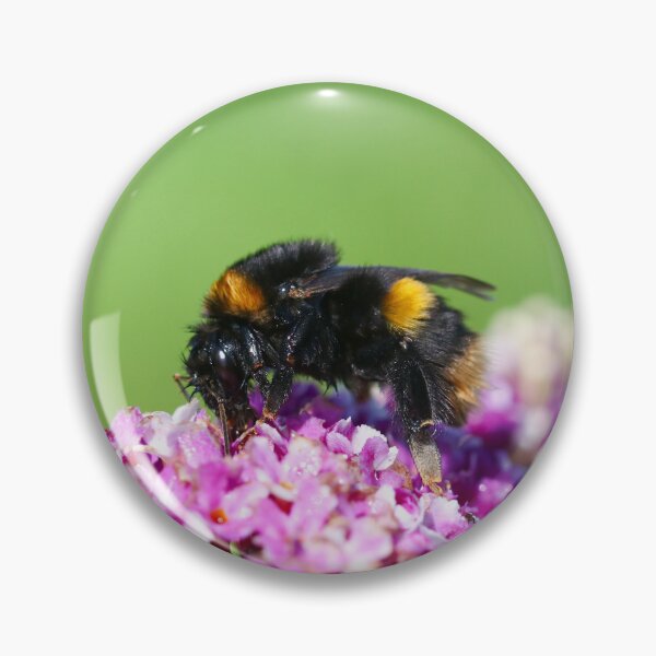 Item preview, Queen buff tailed bumblebee designed and sold by GreyFeatherPhot.