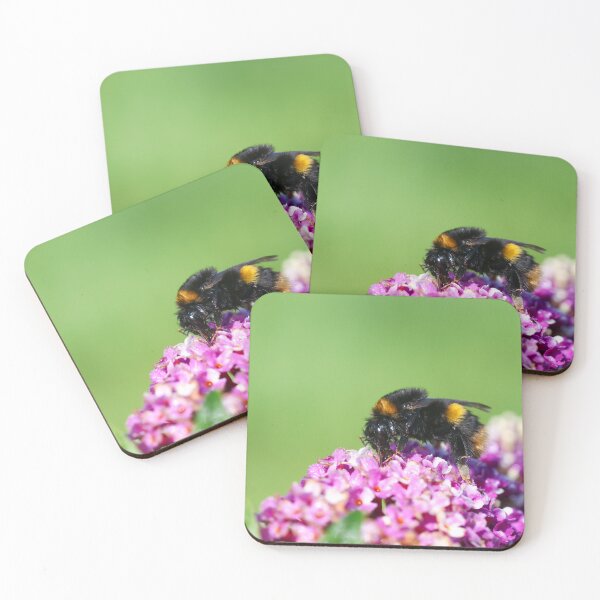 Item preview, Queen buff tailed bumblebee designed and sold by GreyFeatherPhot.