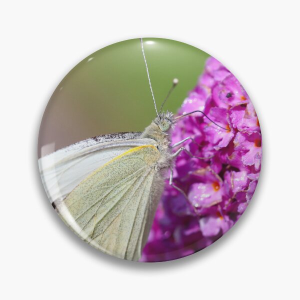 Item preview, Large white butterfly designed and sold by GreyFeatherPhot.