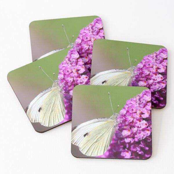 Item preview, Large white butterfly designed and sold by GreyFeatherPhot.