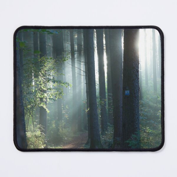 Item preview, Forest path with sun rays designed and sold by Pietschi2022.