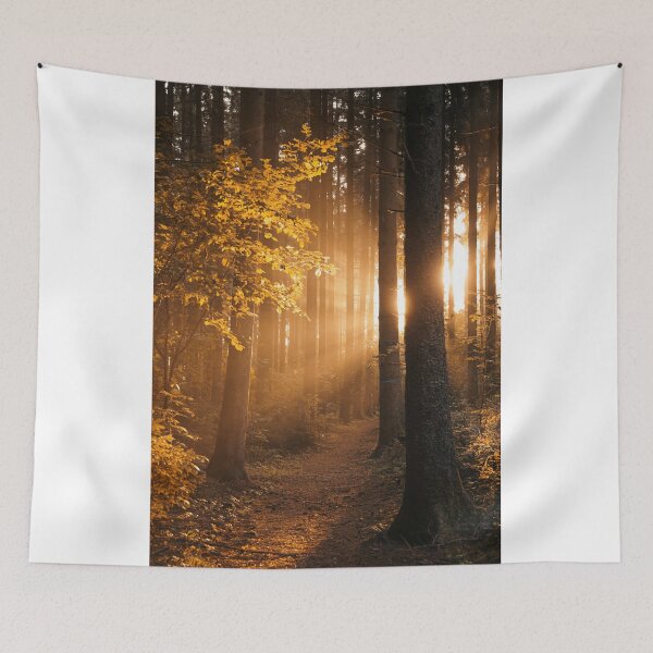 Item preview, Forest path with sun rays designed and sold by Pietschi2022.