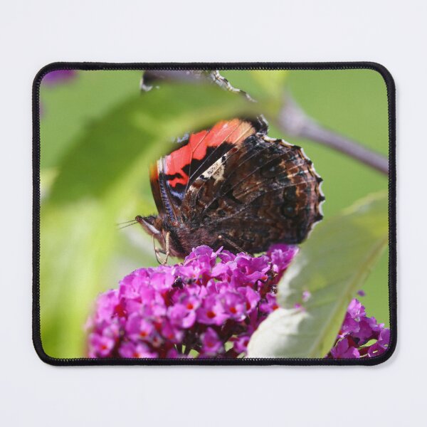 Item preview, Life in the butterfly bush designed and sold by GreyFeatherPhot.