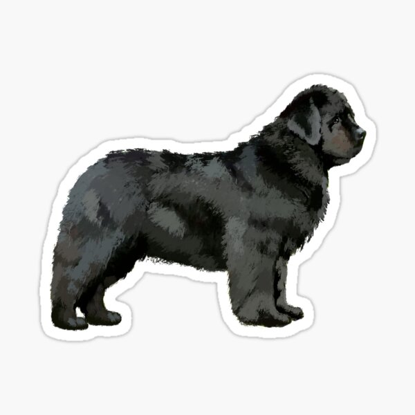Newfoundland Dog Sticker