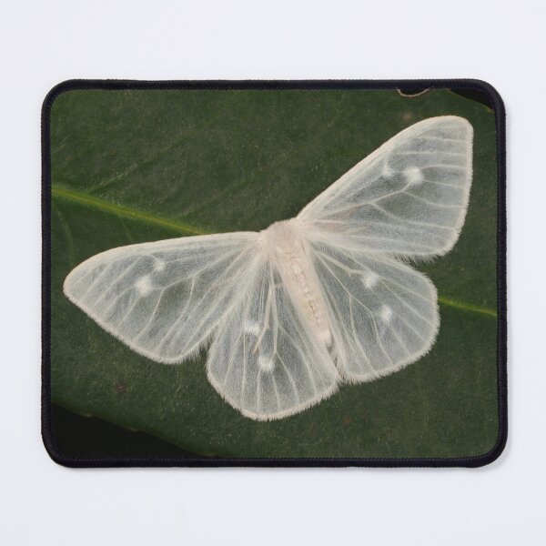 Item preview, Angels Exist designed and sold by itchydogimages.
