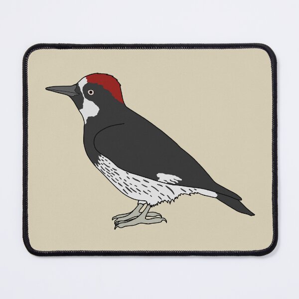 Item preview, Acorn Woodpecker designed and sold by taylorrowan.