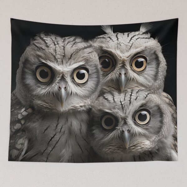 Item preview, 3 curious owls staring designed and sold by bigmoments.