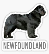 Newfoundland Dog Sticker
