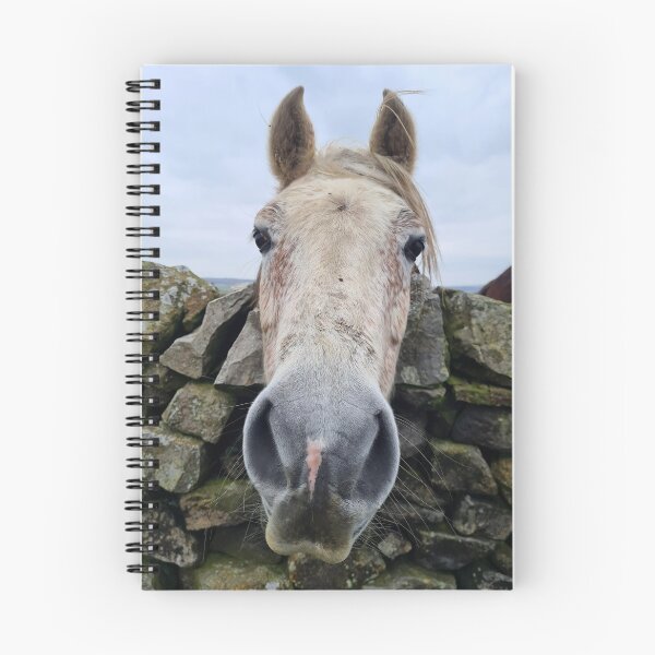 Item preview, The Curious Mare designed and sold by Kat Simmons.