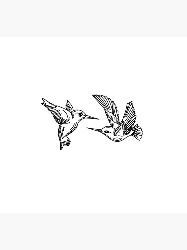Two Birds Drawing Stock Photo - Download Image Now - Animal Body Part,  Animal Markings, Animal Wing - iStock
