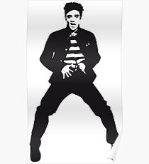 Elvis The Pelvis Poster