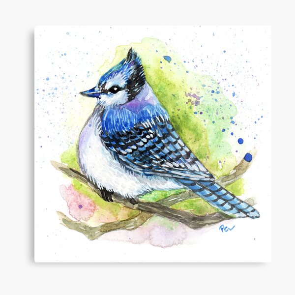 Blue Jay Winter Garden T-shirt for Sale by Tangerine-Tane, Redbubble