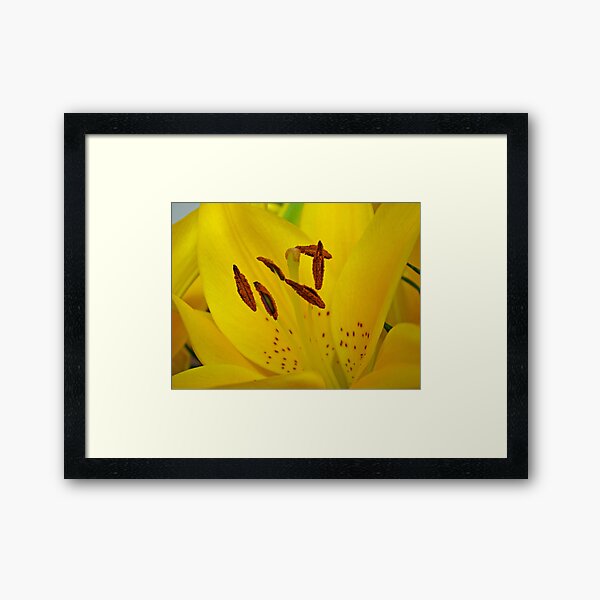 Item preview, Yellow Lily 2 designed and sold by Sandy Keeton.
