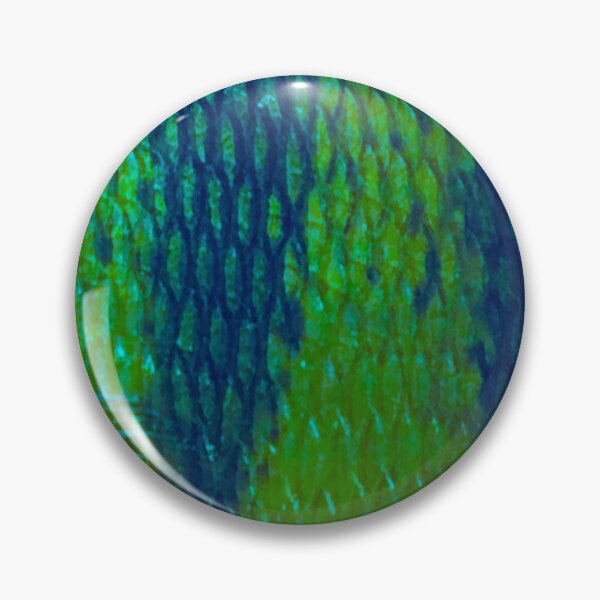 Item preview, Multi Colored Perch Skin Perch Dark Version  designed and sold by CJRPics.