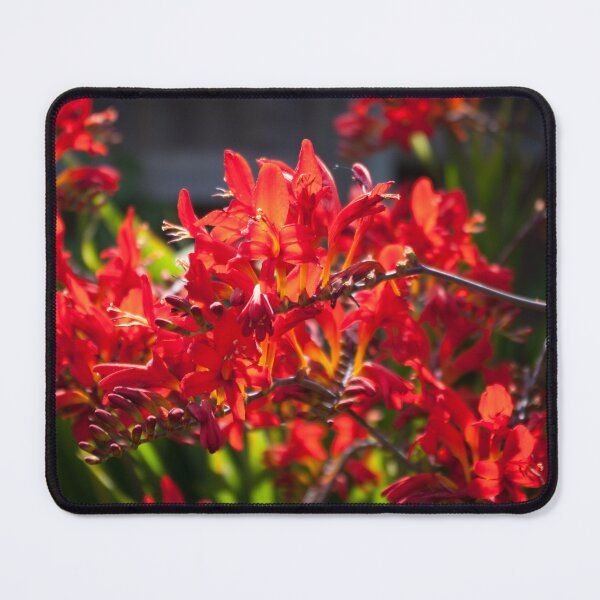 Item preview, Summer on fire designed and sold by LindaCooke.
