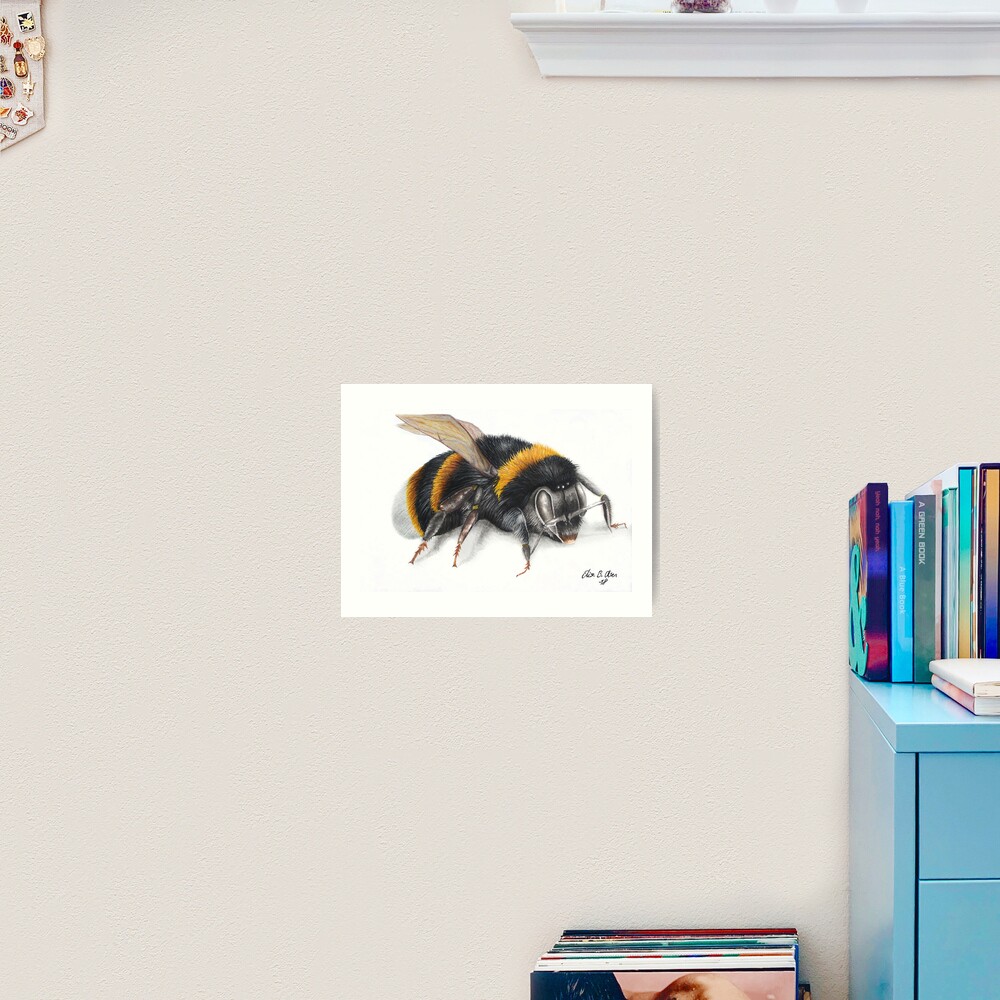 Bumble bee ink drawing Art Print