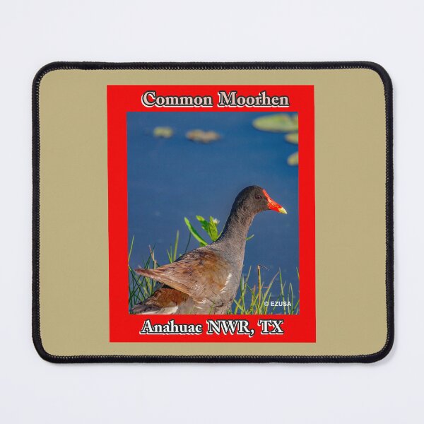 Item preview, For The Bird Lover In You: Common Moorhen, Anahuac NWR, Texas designed and sold by MoreEZUSA-Here.