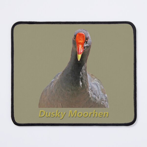 Item preview, Dusky Moorhen Looking at You designed and sold by STHogan2.