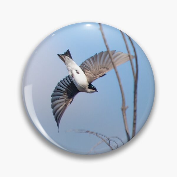 Item preview, Tree Swallows designed and sold by CarolM.