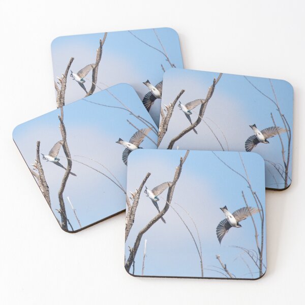 Item preview, Tree Swallows designed and sold by CarolM.