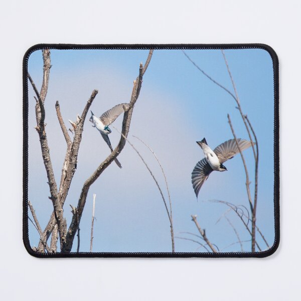 Item preview, Tree Swallows designed and sold by CarolM.