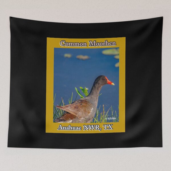 Item preview, The Perfect Gift For A Bird Lover: Common Moorhen, Anahuac NWR, Texas designed and sold by MoreEZUSA-Here.