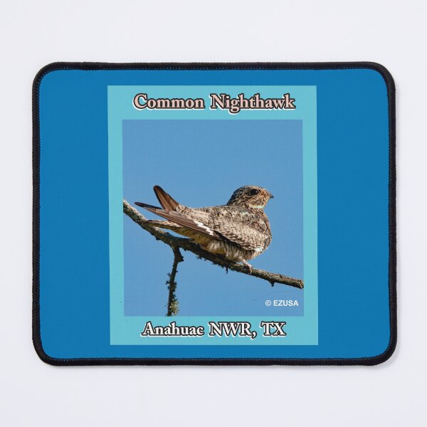Item preview, The Perfect Gift For A Bird Lover: Common Nighthawk, Anahuac NWR, Texas designed and sold by MoreEZUSA-Here.